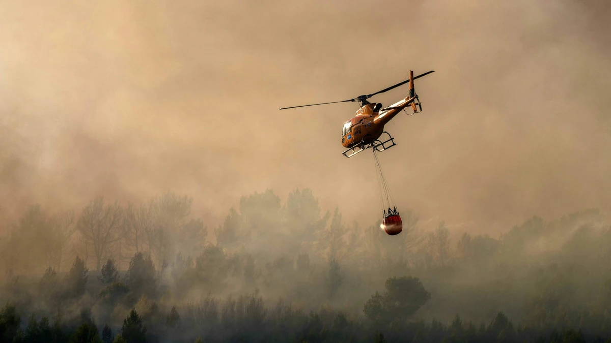Evacuaties en wegafsluitingen in Frankrijk om hitte en bosbranden: dit moet je doen als je deze week op vakantie gaat