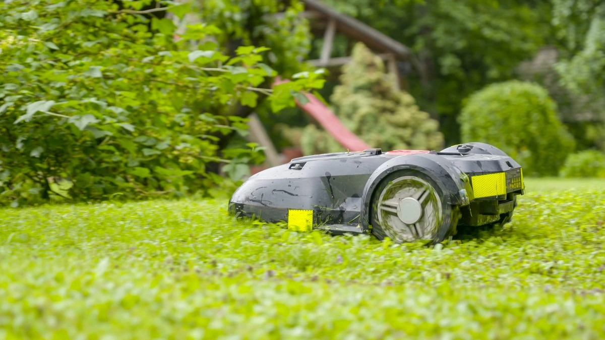 Koop nooit zomaar een robotmaaier: 10 dingen die je moet weten voor je er een koopt
