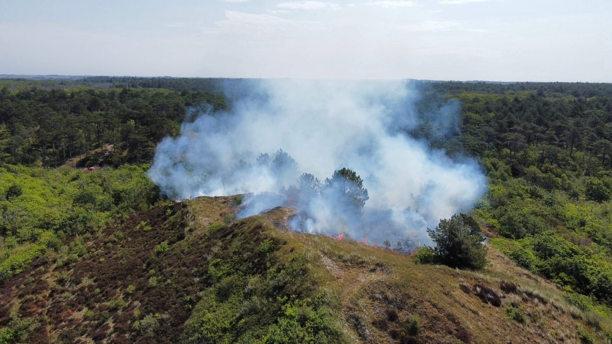 LIVE | Forse natuurbrand op Texel, extra brandweerlieden van het vasteland opgeroepen