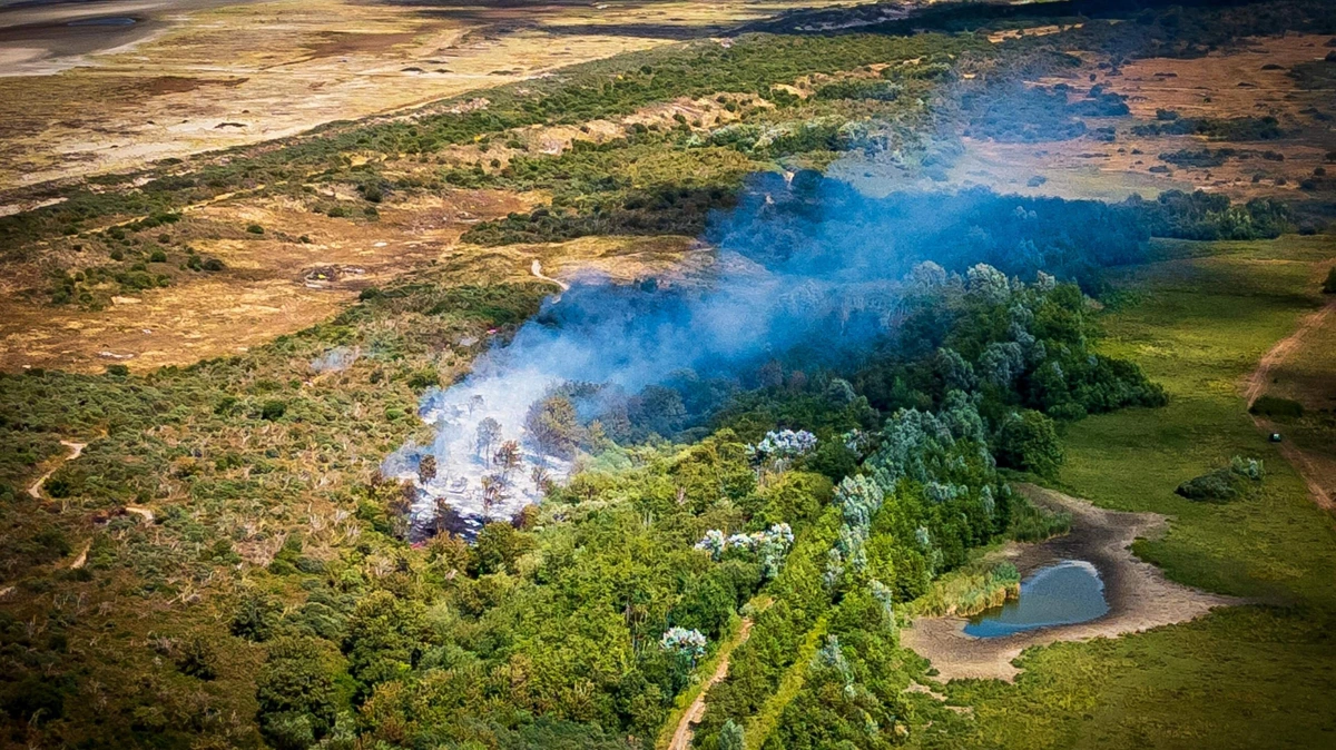 LIVE | Nieuwe natuurbrand in duinen bij Ouddorp, brandweerman gewond geraakt