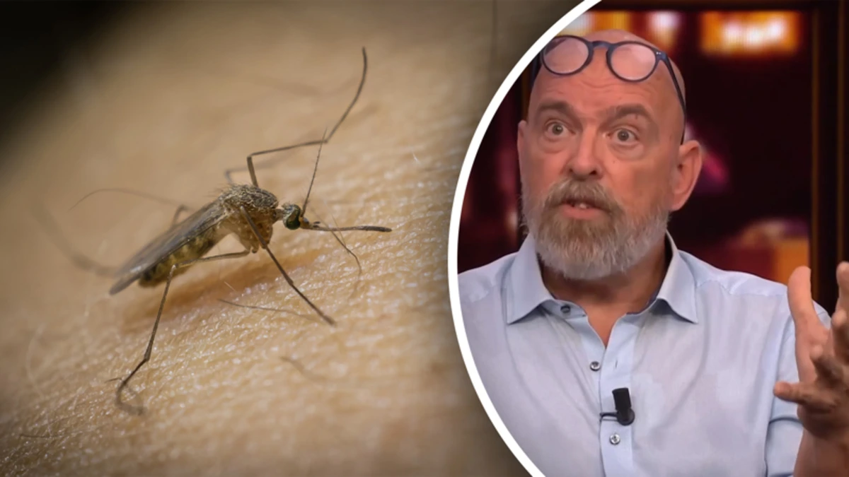 Muggenexpert waarschuwt voor westnijlvirus: ‘Dit kan heel groot worden’