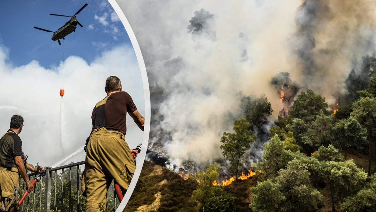 LIVE | Vuurzee in Limburg beslaat 21 hectare en breidt zich nog steeds uit: blushelikopters ingezet, brandweer legt stoplijn aan