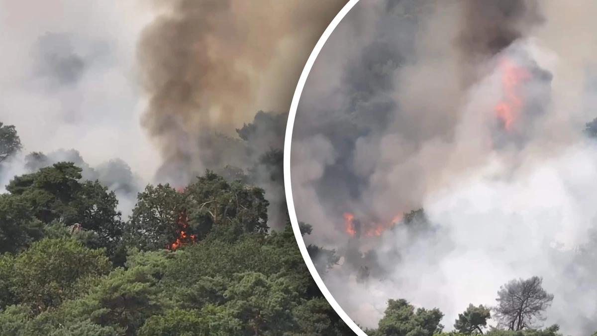 Grote natuurbrand in Nederland: treinverkeer tussen Venray en Boxmeer stilgelegd
