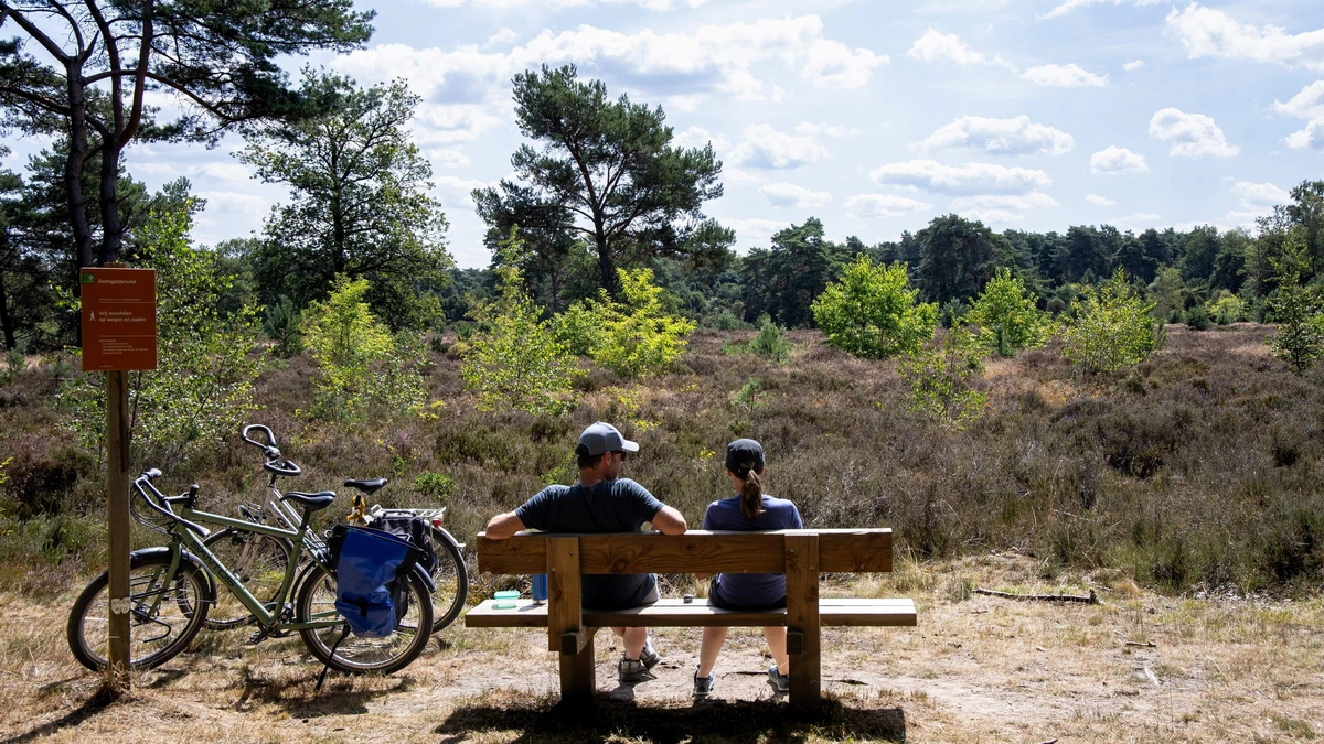 Zon schijnt weer volop, alleen hier vallen ’s middags enkele buien