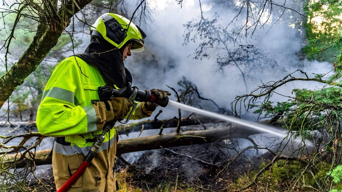 LIVE | Natuurbrand in Herperduin bij Oss, veel brandweer aanwezig