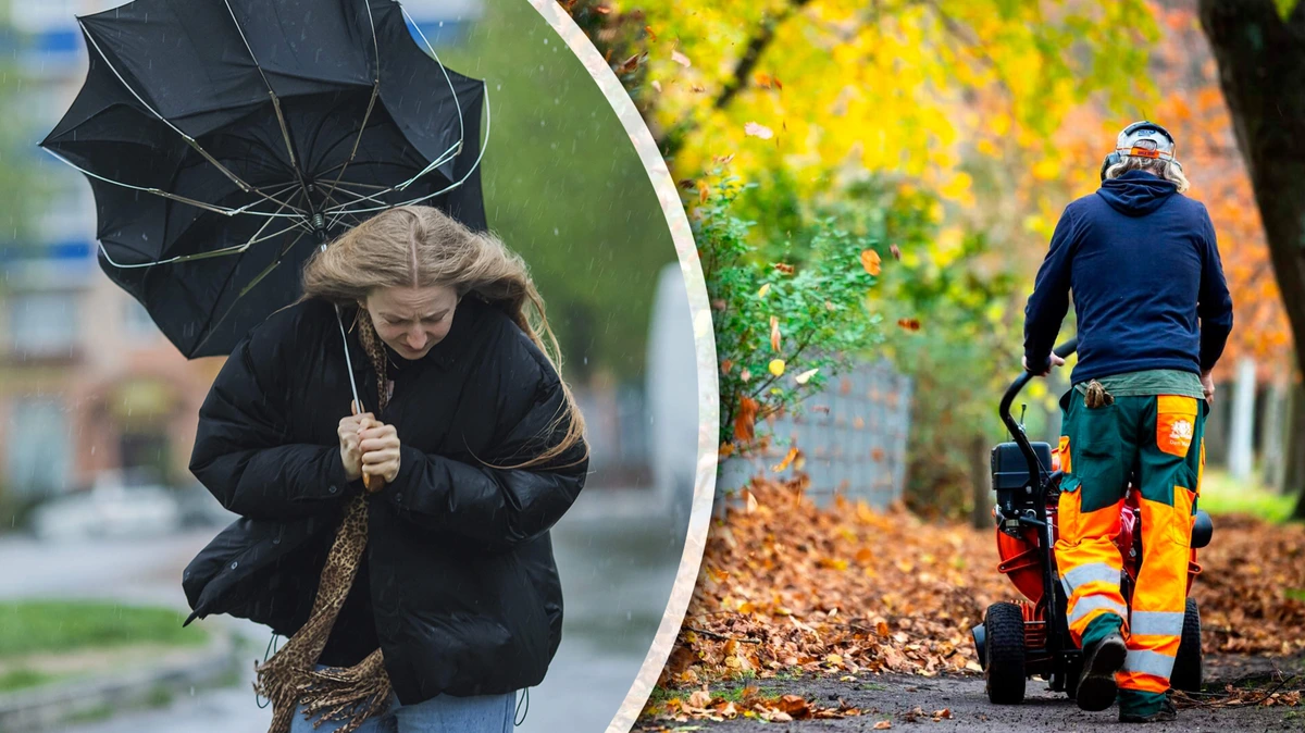 Onweer, hagel en wind doen ergst vrezen voor herfst: zo groot is de kans op een onstuimig seizoen