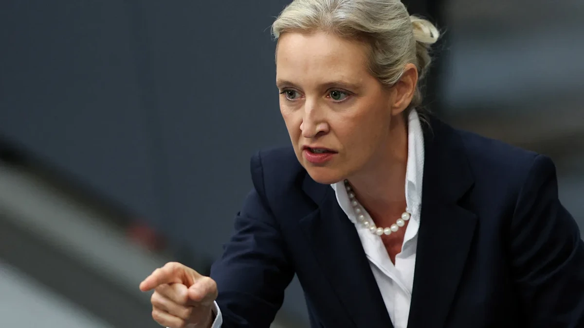 Er hat Alice Weidel als „Alice Merkel“ verhöhnt: Wirft die AfD ihren Kritiker raus?