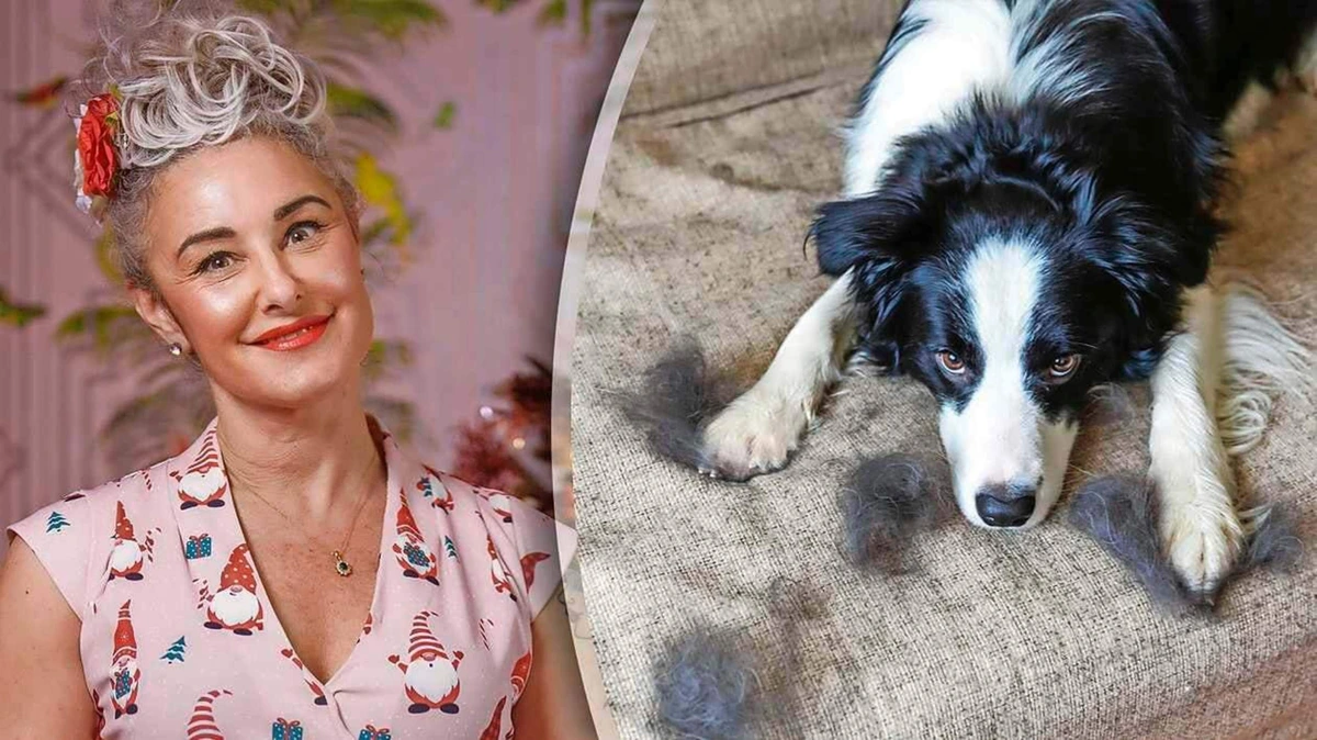 Van bank tot bed: Zamarra tipt hoe je afkomt van hardnekkige honden- en kattenharen