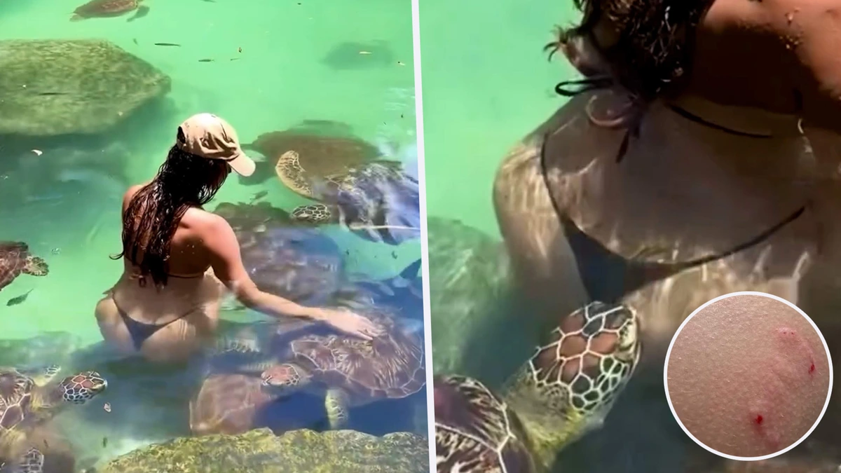 Influencer wordt in de bil gebeten door schildpad