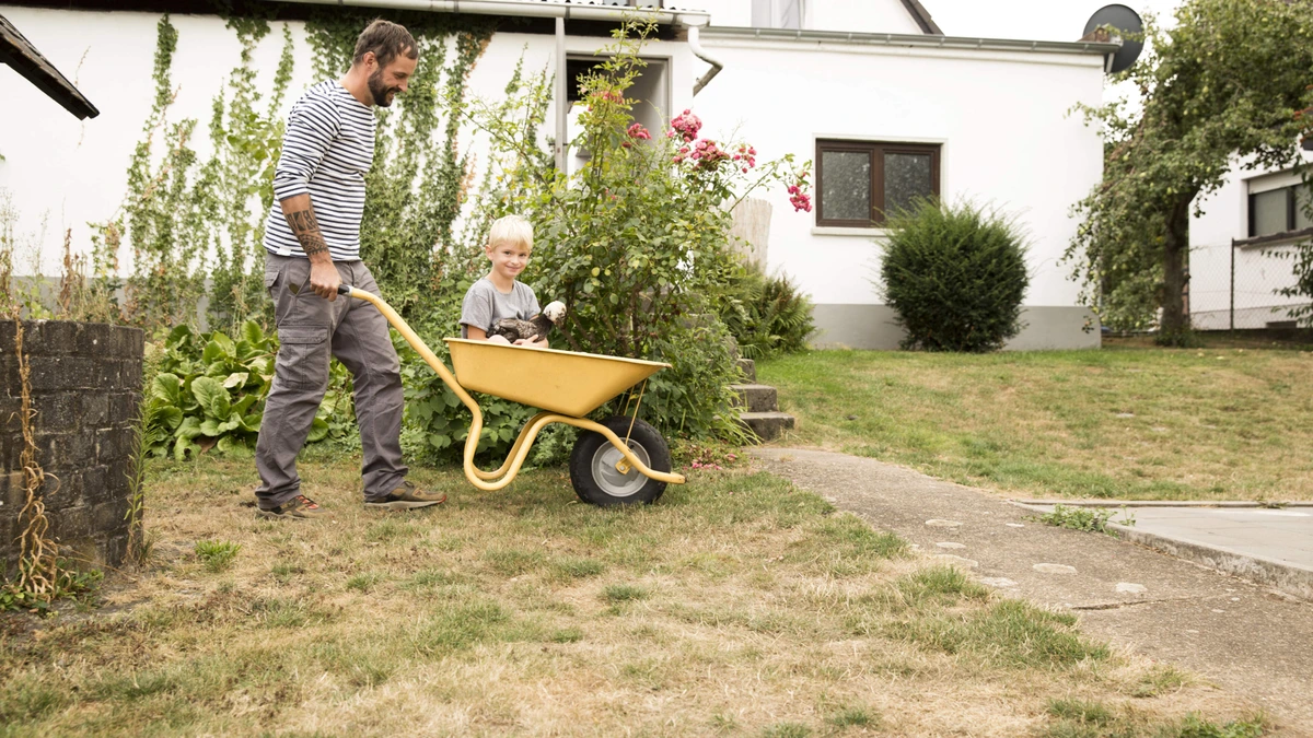 Te heet, te nat: hoe redden we ons geelgekleurde gras? Tuinexperts vertellen hoe zij het doen