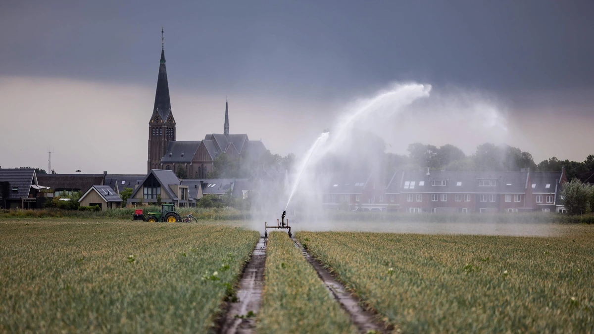 Zomerweer blijft maar komen: na zonovergoten zondag volgen hete maandag en dinsdag
