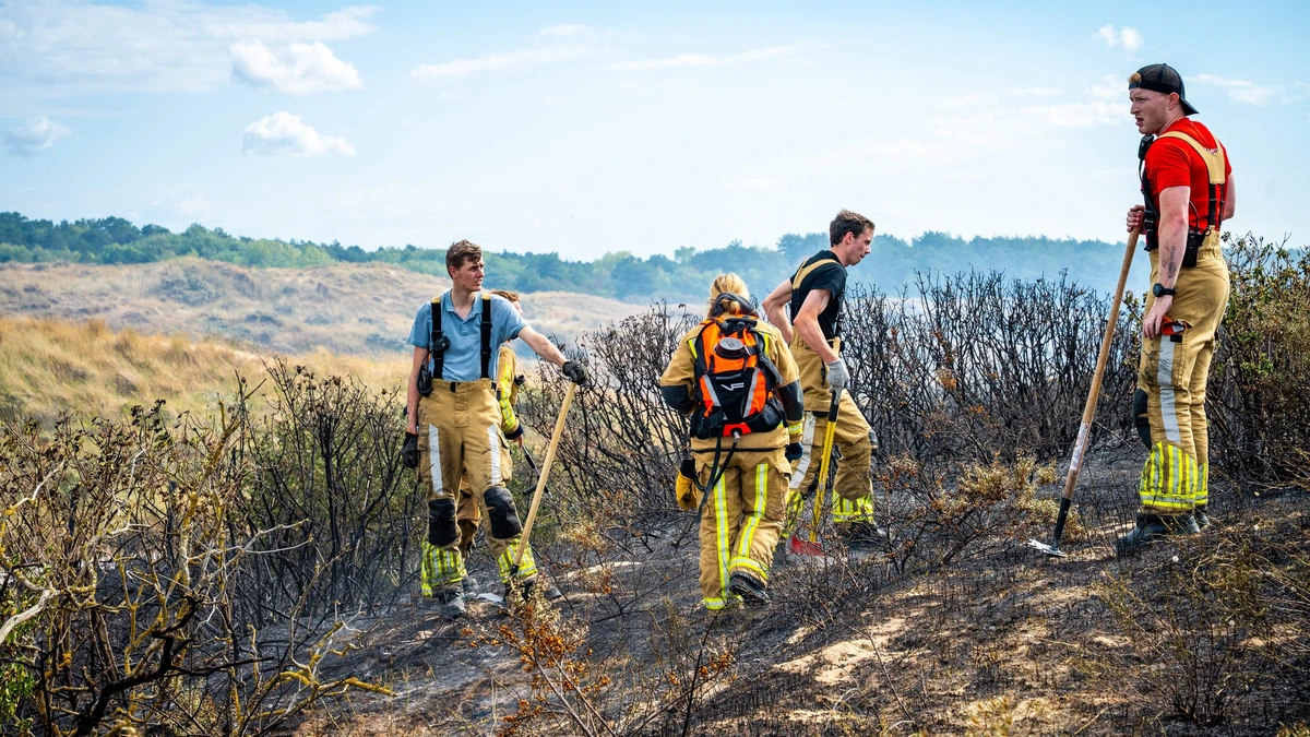 LIVE | Grote brand in duinen bij Wassenaar onder controle, geëvacueerde gasten terug naar hotel
