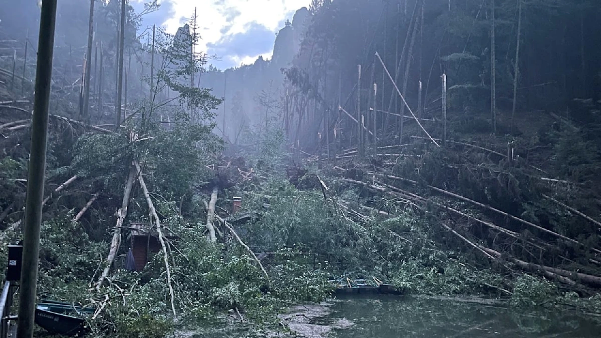 Sächsische Schweiz: Unwetter verwüstet Wander-Oase von TV-Köchin