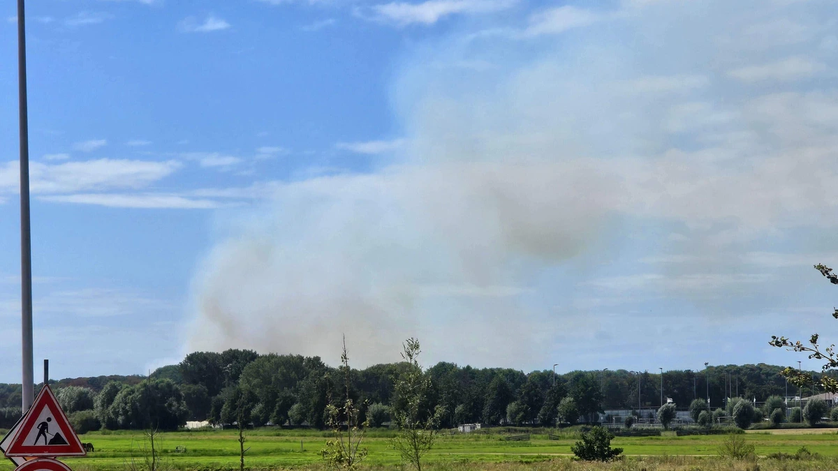 LIVE | Grote brand in duinen bij Wassenaar: hoge vlammen en dikke rookwolken zichtbaar