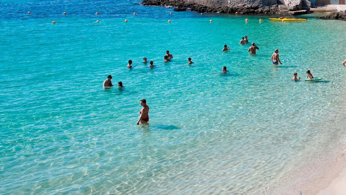 Mallorca: Fische beißen Urlauber – Experten haben Verdacht