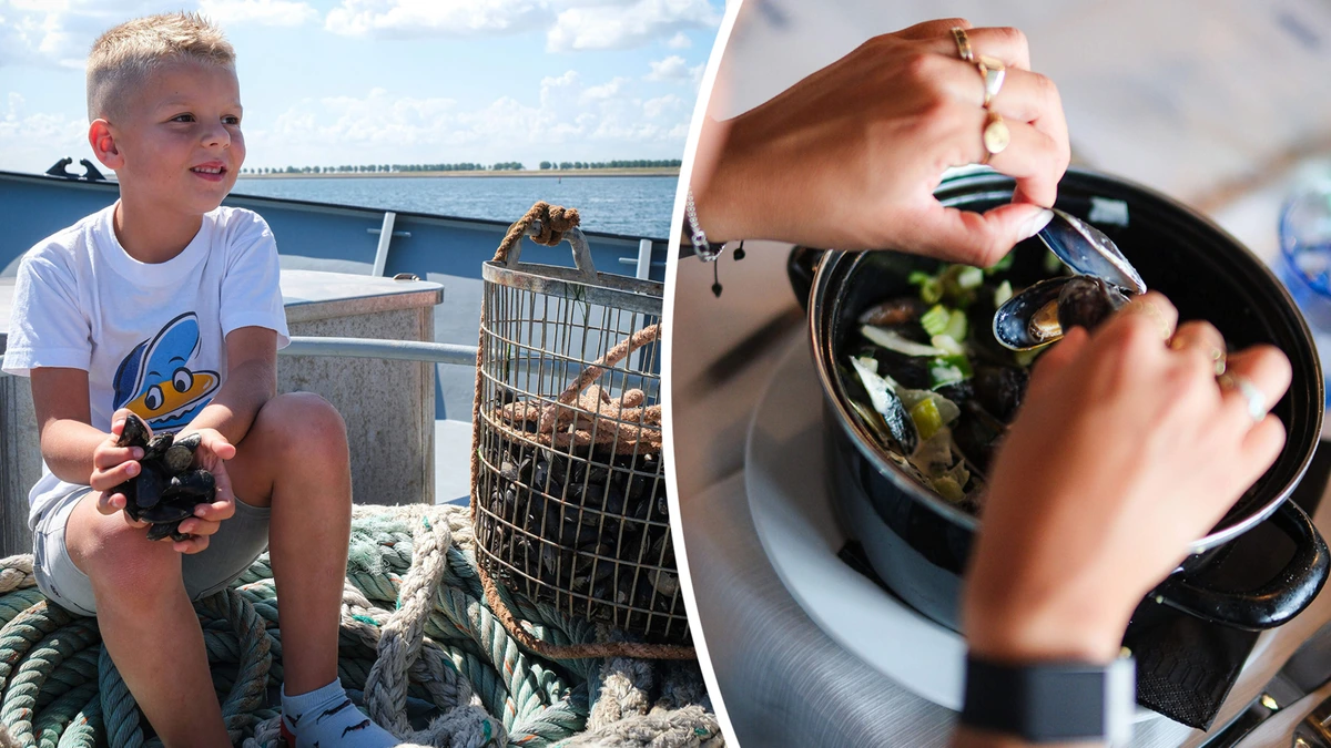 Fabels en feiten achter de oer-Hollandse mosselen: ’Nederlanders zijn nou eenmaal niet van eten uit zee’