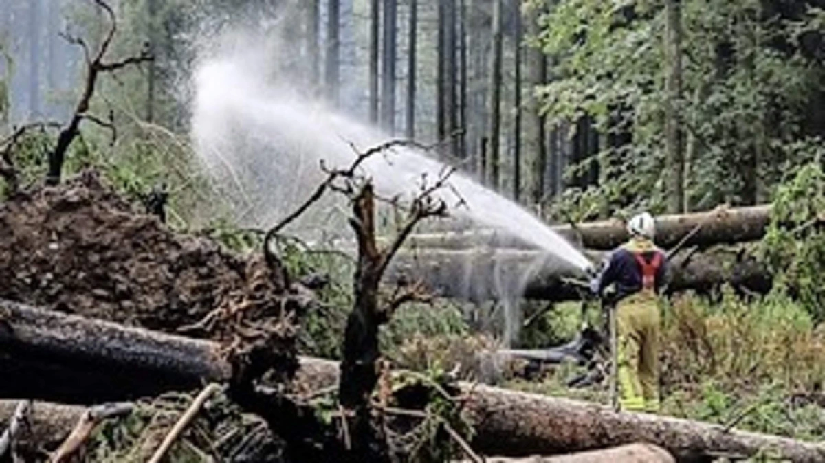 Brand in Belgische Hoge Venen geblust: ’Heel wat inzet en hard werk afgeleverd’