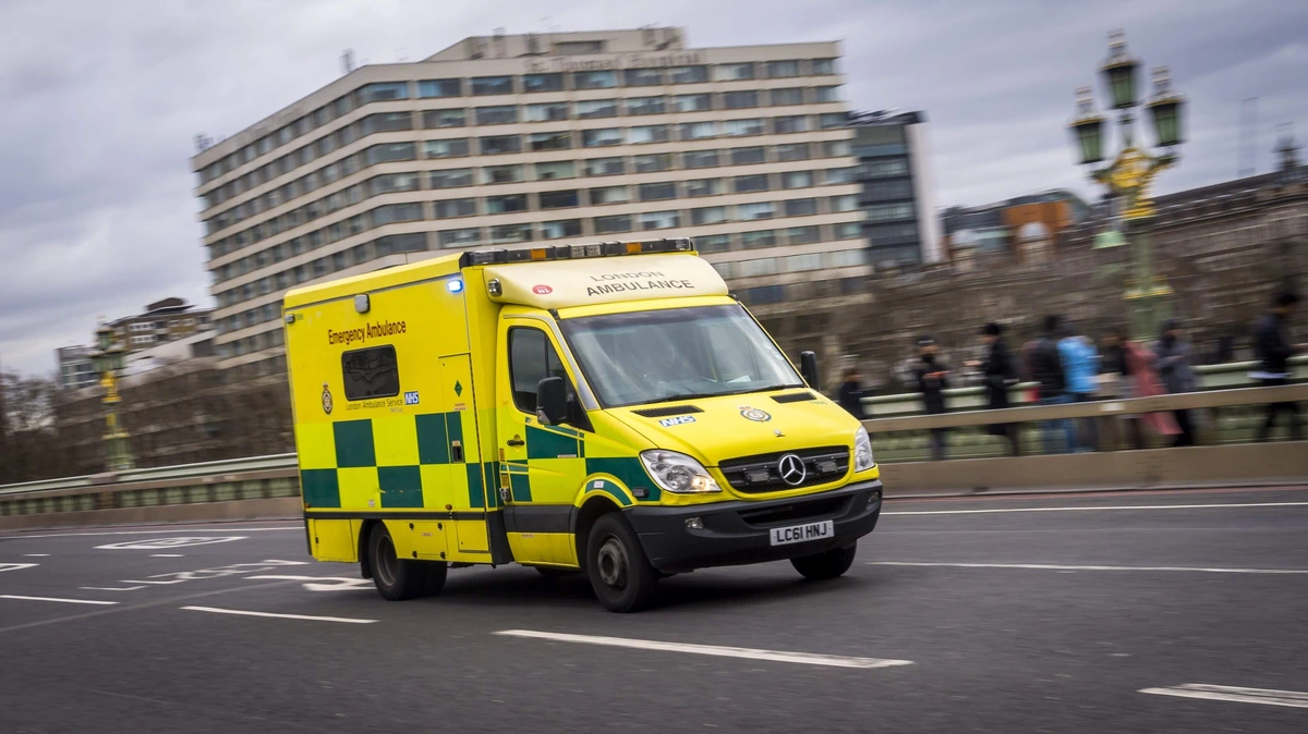 Viertal bekent in brand steken ambulances in Londen