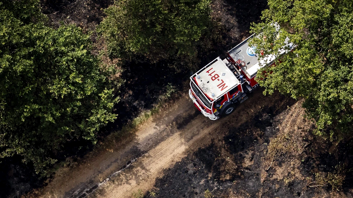 Natuurbrand in Limburgse Boschhuizenbergen onder controle: sein brandmeester gegeven