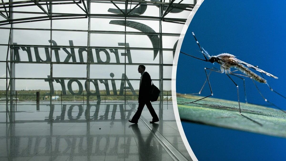 Twee medewerkers luchthaven Frankfurt overleden aan malaria