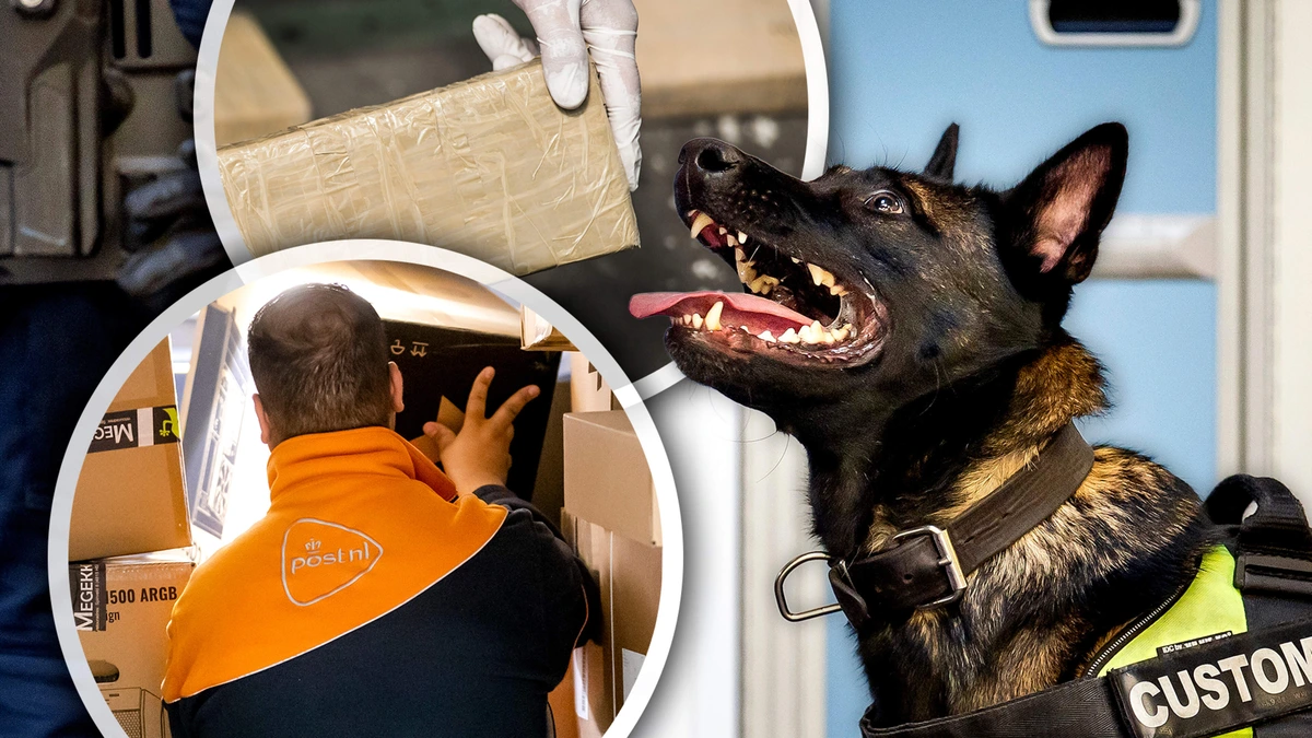 Drugs stromen via doodnormale post Nederland binnen: ’Criminelen gebruiken meerdere routes tegelijk’