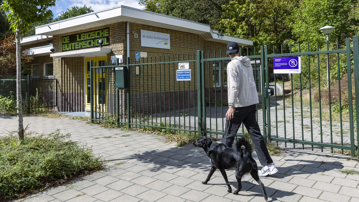 Katwijkse school verhuist tijdelijk vanwege vlooienplaag: Lesgeven niet mogelijk