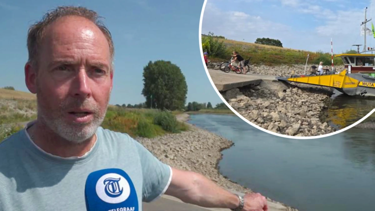 Veerboot Rheden uit dienst gehaald vanwege laag water: 'Kan wel janken'