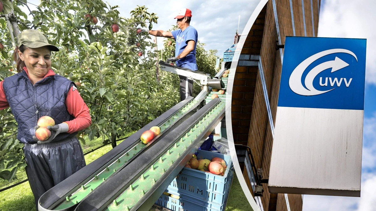 Werklozen mogen straks twee keer zo lang uitkering meenemen naar het buitenland: ’Voor sommige wordt het een lange vakantie in thuisland’