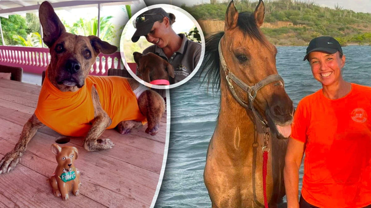 Tamara (44) woont met 120 dieren op Curaçaose roze boerderij: ’Ik werk 365 dagen per jaar’