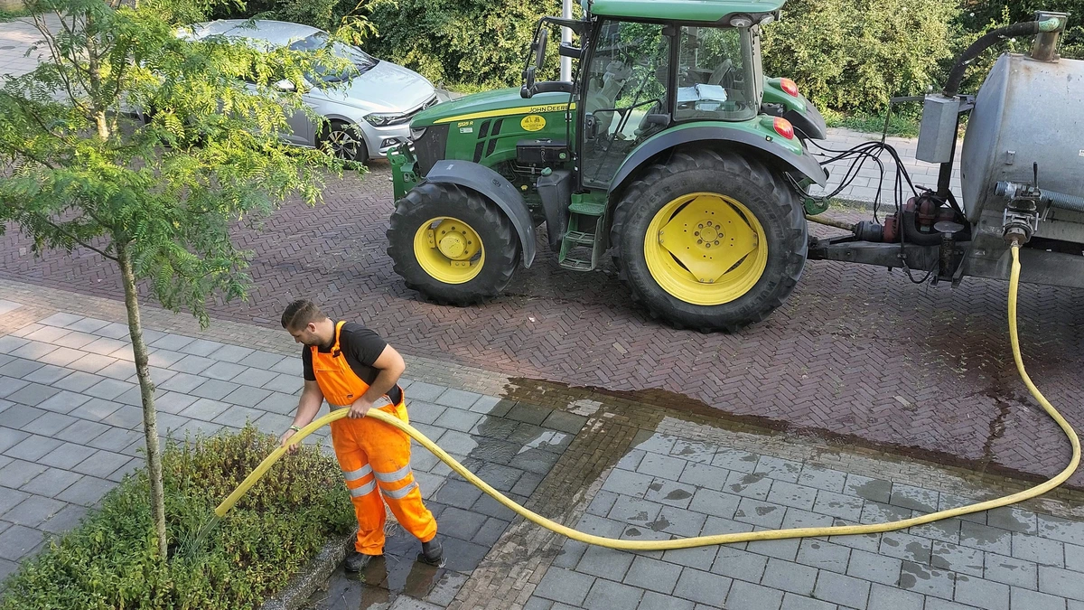 LIVE | Geen water voor openbaar groen, dorstige planten dreigen af te sterven: ’We hopen snel op regen’