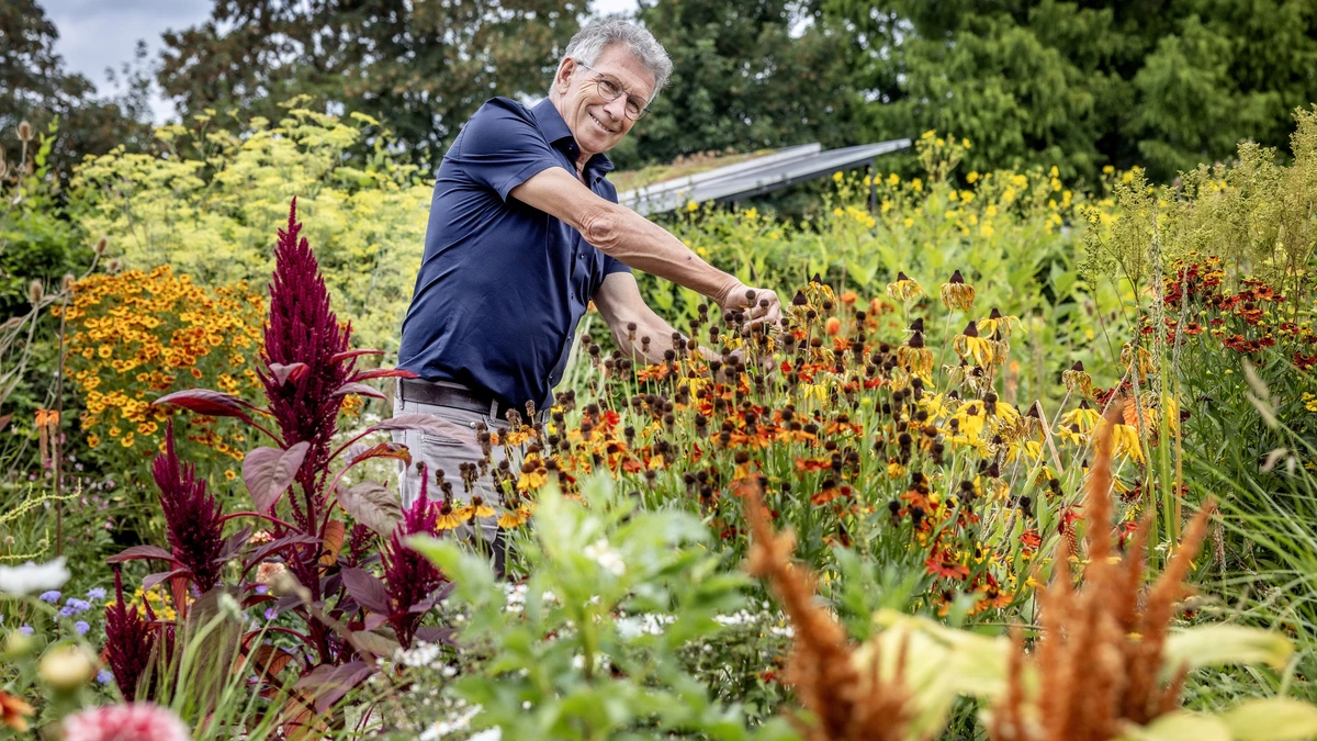 Met deze tips blijft jouw tuin wél mooi en groen en dat is soms simpeler dan je denkt: ’Kijk eens wat verder dan de eerste de beste aanbieding’