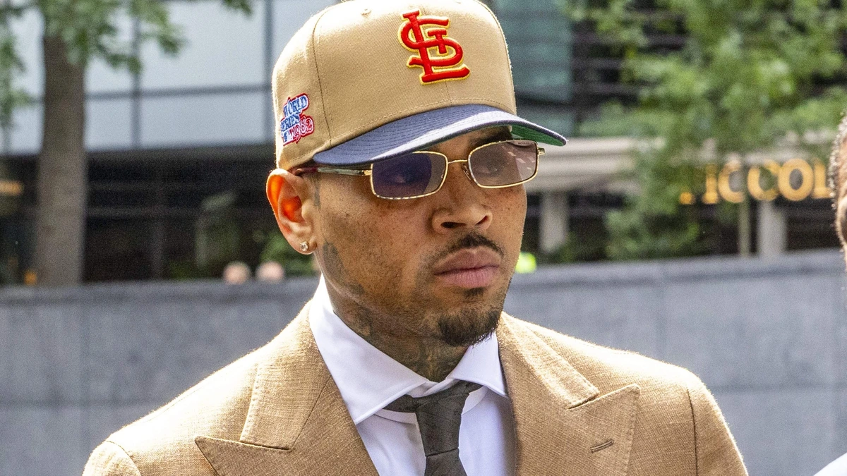Chris Brown wil nieuwe behandeling van rechtszaak hondenaanval