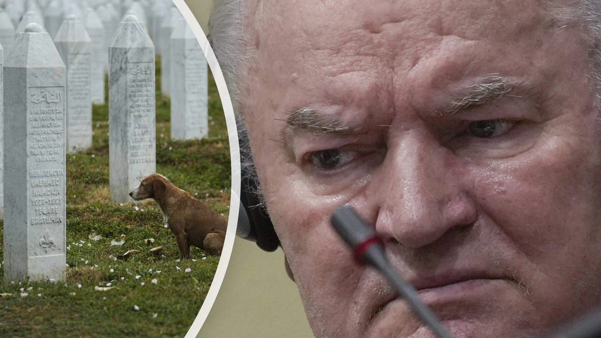 Medogeloze Mladić groeide door duistere draai uit tot ’slager van Srebrenica’ en werd hét gezicht van donkerste jaren van Joegoslavië-oorlog