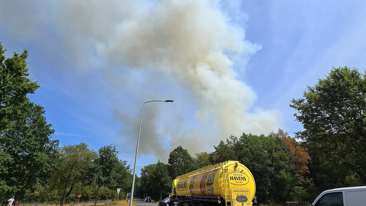 LIVE | Natuurbranden teisteren Zuid-Nederland: ’Zeer grote brand’ in Limburg, nieuwe vuurzee in Brabant