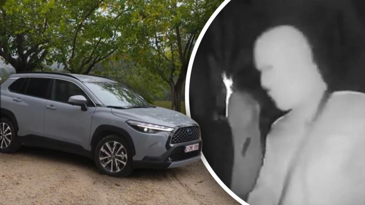 Dit is de meest gestolen auto van Nederland