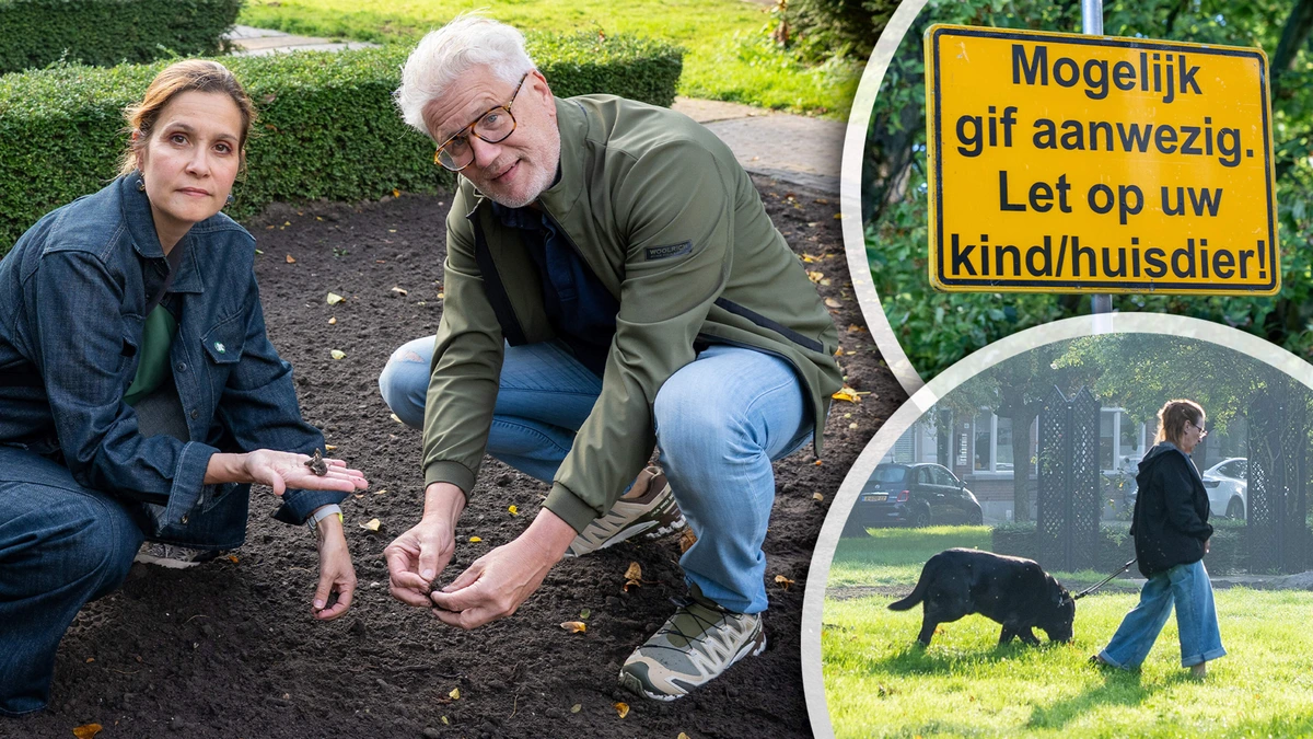 Grote onrust in Schiedam na mysterieuze hondendoden in stadspark: ’Timi werd ineens heel ziek’