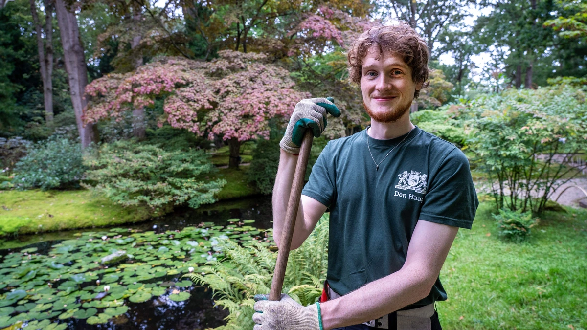 Japanse tuin in herfstkleuren kan bezoekersstroom nauwelijks aan: tijdslot reserveren verplicht