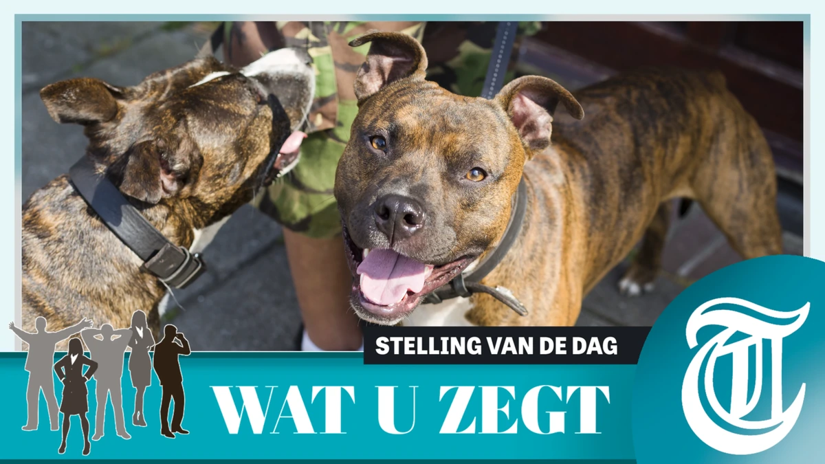 Lezers: ’Snel een verbod op bijthonden zoals pitbulls’