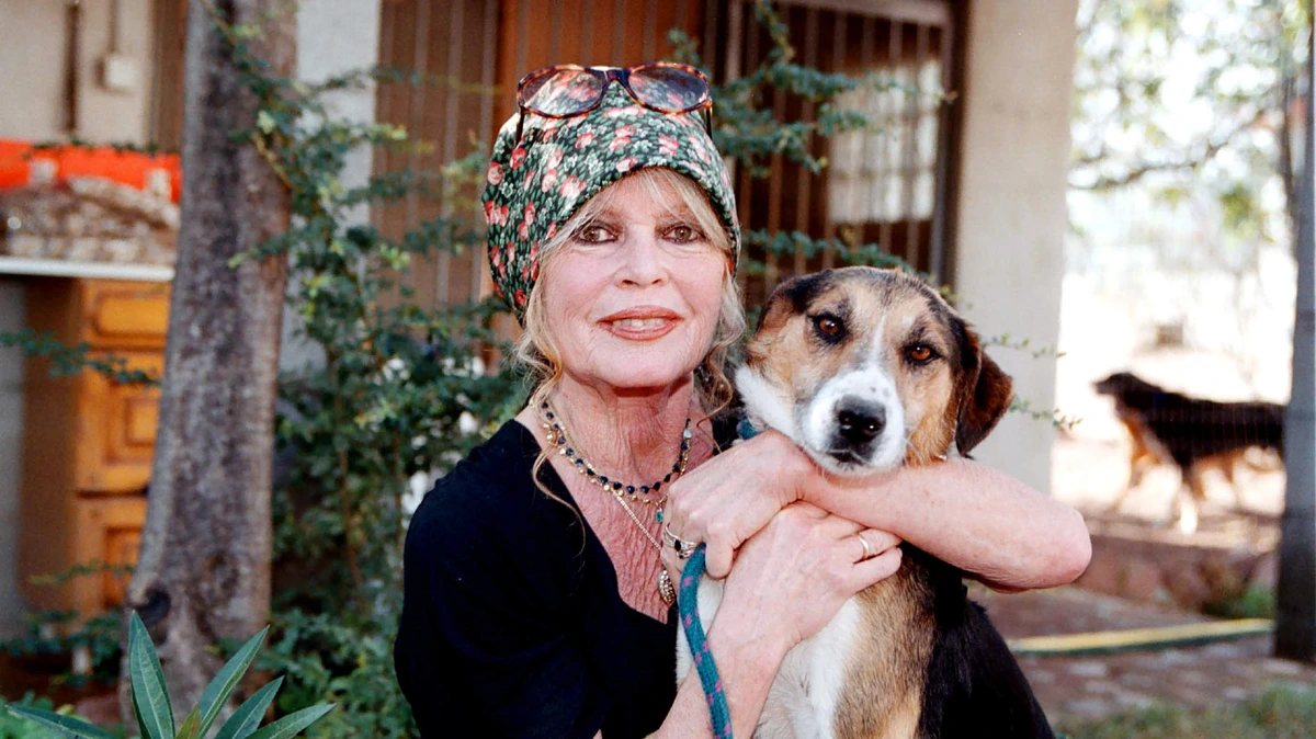 Veiling bezittingen Brigitte Bardot brengt bijna één miljoen op