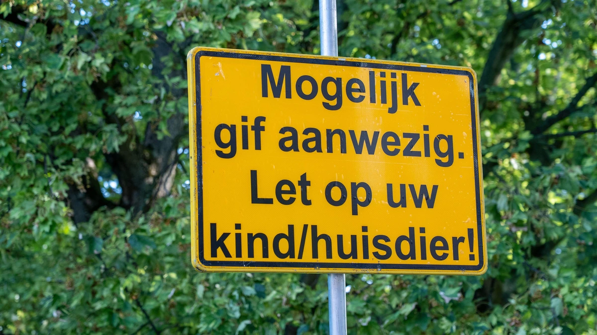 Opnieuw hond overleden na wandeling park Schiedam: vijfde in week tijd