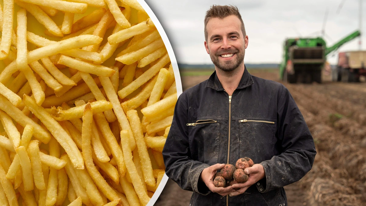 Slecht nieuws voor snackfans na kurkdroge zomer: patat wordt kleiner, maar niet goedkoper