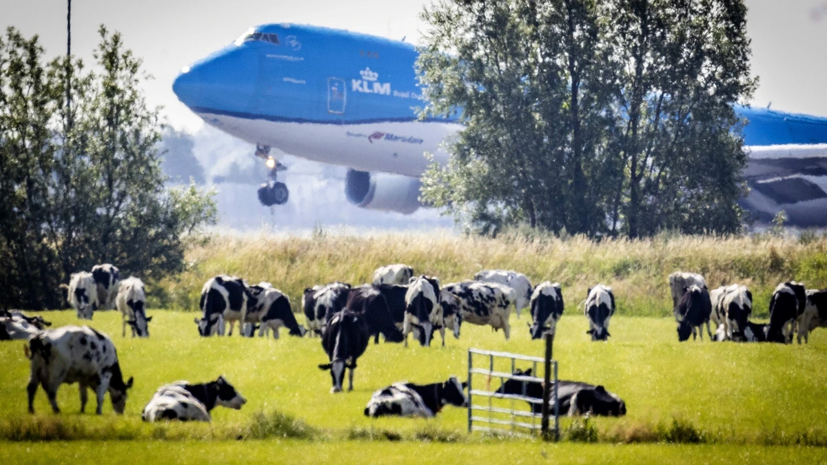 Martinair-piloten hebben recht op achterstallig loon, maar KLM betaalt miljoenen nog niet uit: ’Dit gevecht is nog lang niet ten einde’