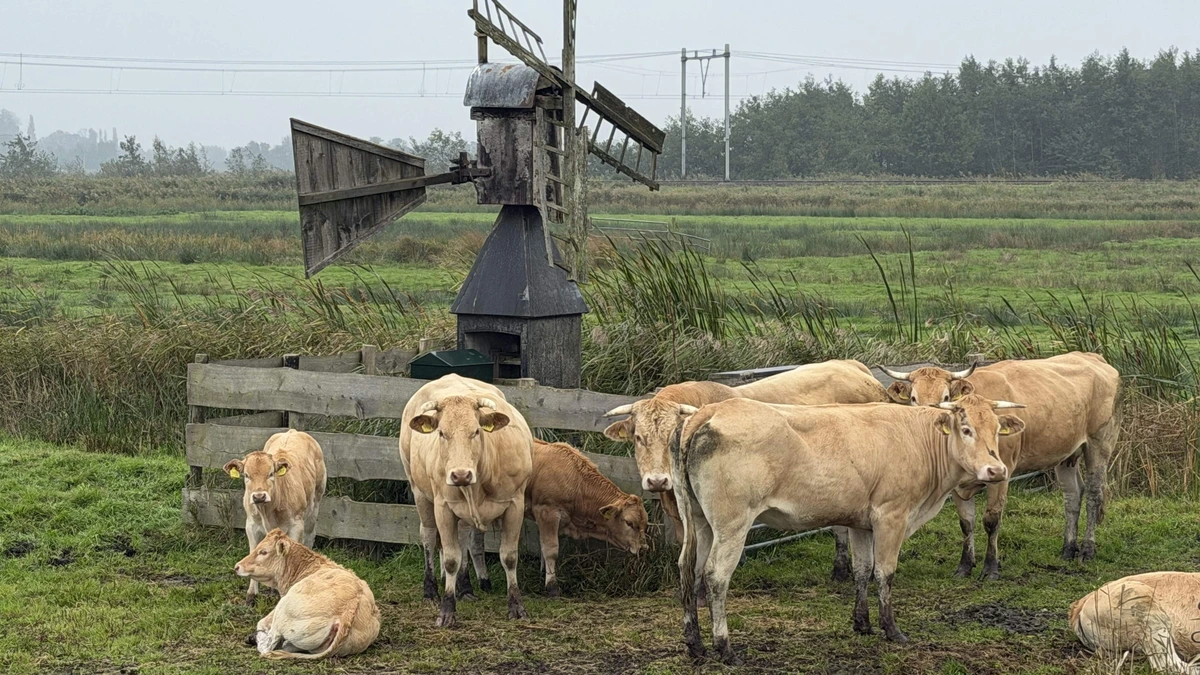 Hoogspanning om stikstofbeleid nu CDA aanpassingen wil: ’Het wordt erg spannend’