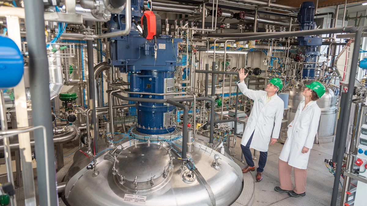 ’Groene ASML’ onder druk: Nederland dreigt miljardenkans te verspelen