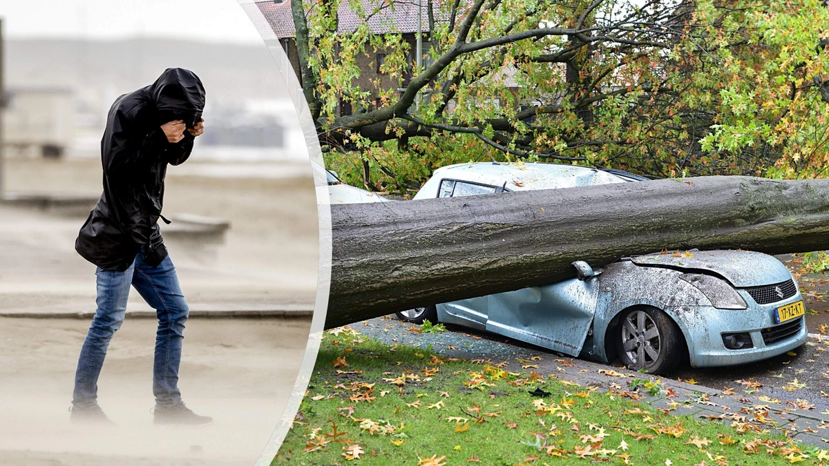 Eerste najaarsstorm in aantocht: vrijdag kans op windkracht 9