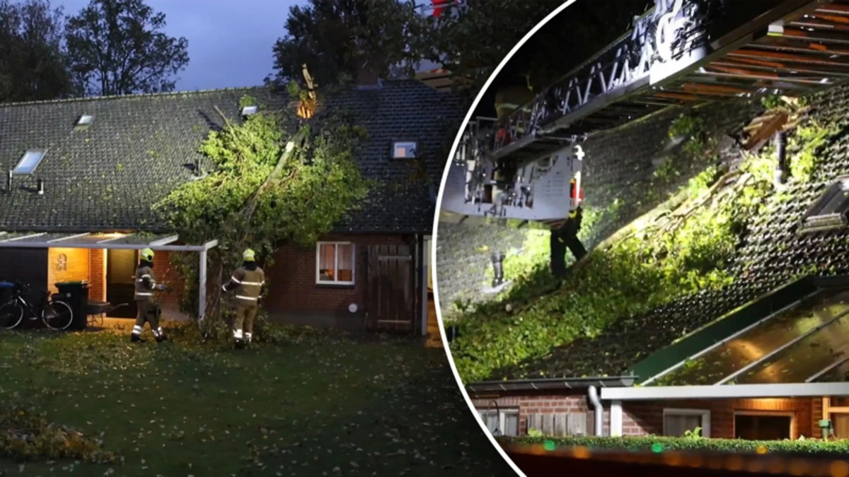 Boom splijt dak van woonboerderij tijdens storm Austen