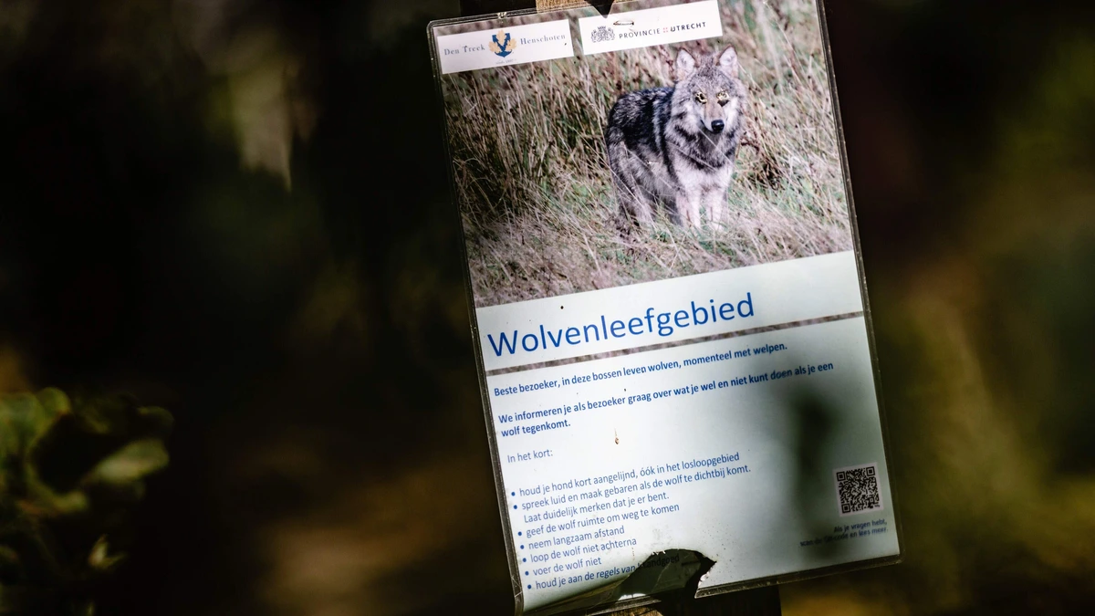 Rechter houdt vangen en zenderen Utrechtse wolvenroedel tegen