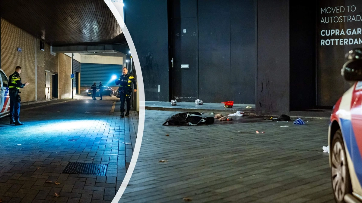 Overal bloed op straat nadat man in Rotterdam is neergeschoten, uitgaanspubliek en Halloween-fans geschokt