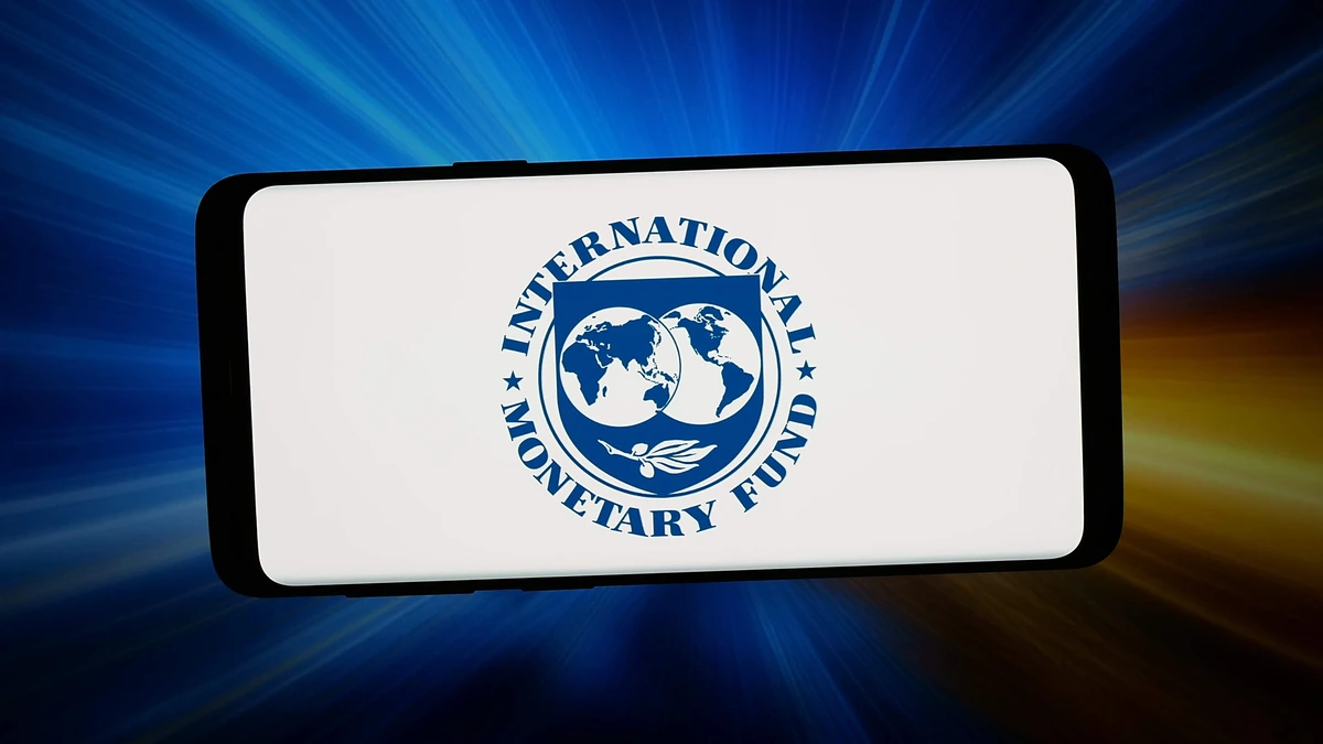 IMF wijst op risico's steeds belangrijker wordende hedgefondsen