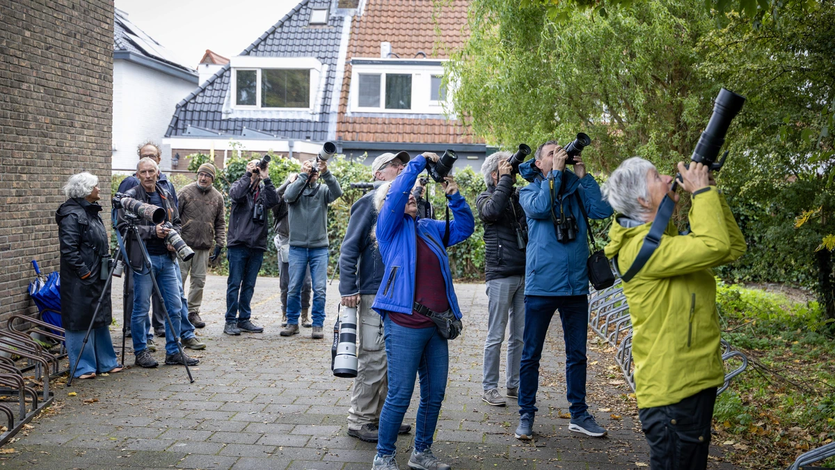 ’Vreemde vogels’ jagen op zeldzame notenkraker